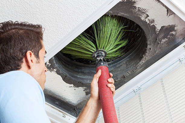 Best Affordable Duct Cleaning Services  in USA